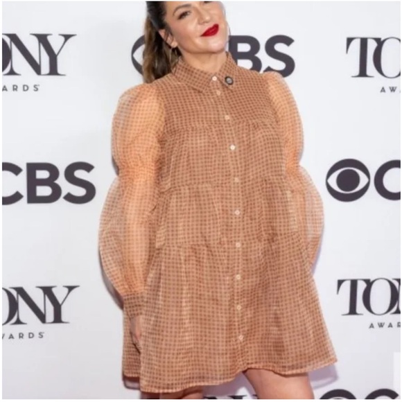 En Saison Gingham Organza Tiered Shirtdress NWT Small Brown - Picture 2 of 9